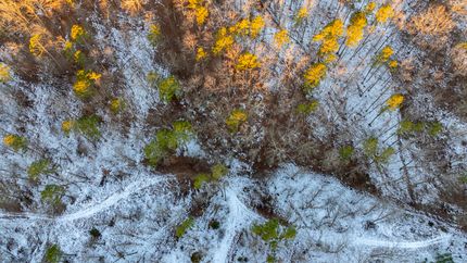 Recreational Property for sale in Texas County, Missouri