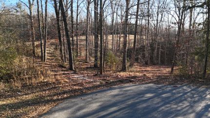 Undeveloped Land for sale in Clarke County, Georgia