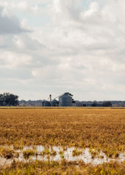 Property for sale in Monroe County, Arkansas