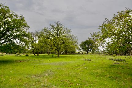 Farm Property for sale in Mills County, Texas