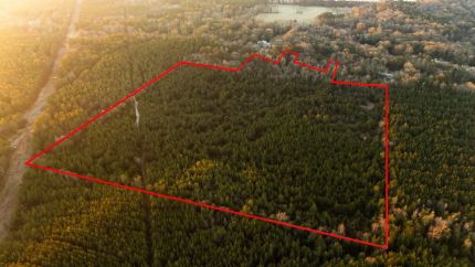 Hunting Land for sale in Covington County, Mississippi