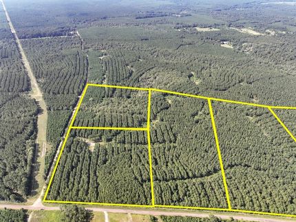 Hunting Land for sale in Tyler County, Texas