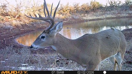 Farm Property for sale in Taylor County, Texas