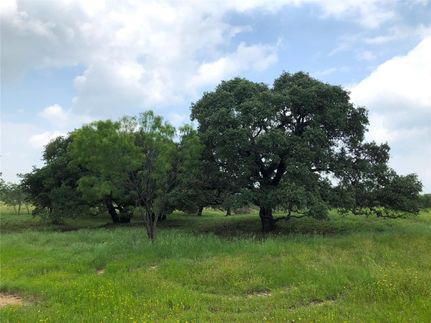 Undeveloped Land for sale in Brown County, Texas