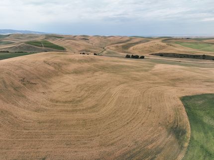 Farm Property for sale in Walla Walla County, Washington