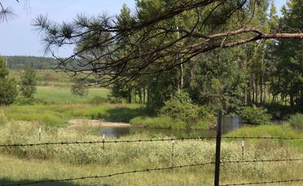 Undeveloped Land for sale in Miller County, Arkansas