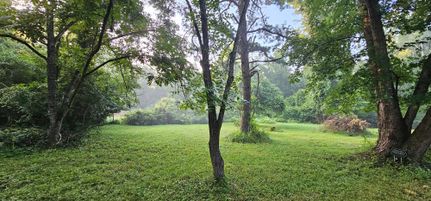 Ranch Property for sale in Fairfax County, Virginia