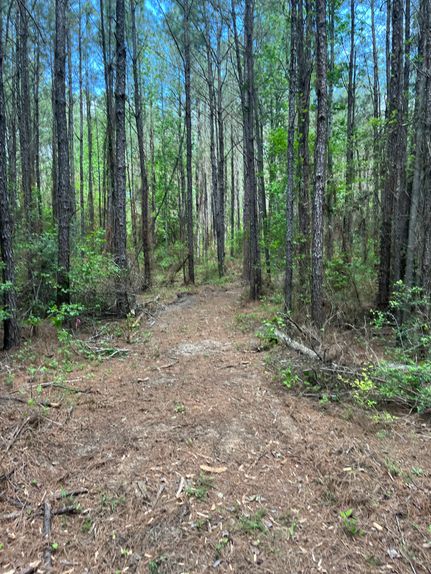 Farm Property for sale in Rapides Parish, Louisiana