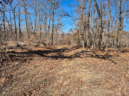 Undeveloped Land for sale in Benton County, Missouri
