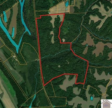 Ranch Property for sale in Carlisle County, Kentucky