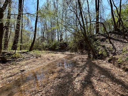 Farm Property for sale in Panola County, Mississippi