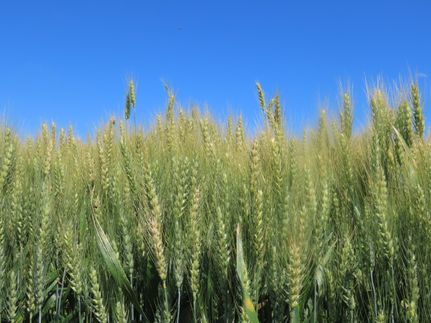 Farm Property for sale in Clay County, Minnesota