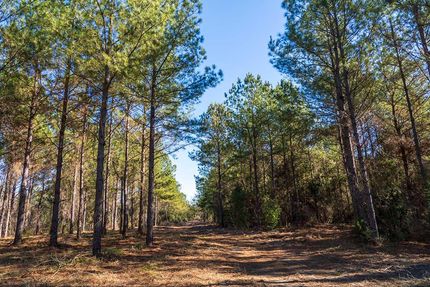 Recreational Property for sale in Jackson County, Florida