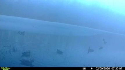 Property for sale in Crittenden County, Arkansas