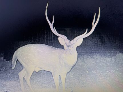 Farm Property for sale in Sutton County, Texas