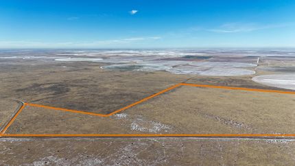 Undeveloped Land for sale in Gaines County, Texas