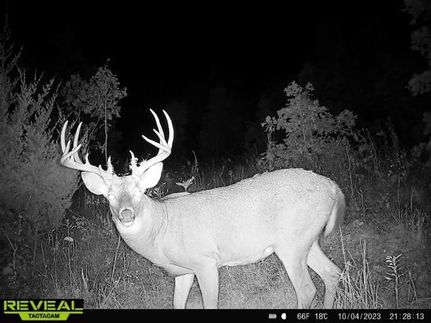 Ranch Property for sale in Ralls County, Missouri