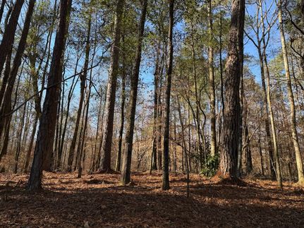 Ranch Property for sale in Tuscaloosa County, Alabama