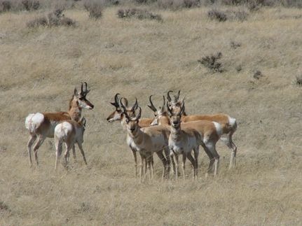 Farm Property for sale in Niobrara County, Wyoming