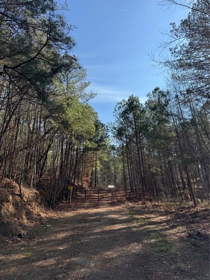 Undeveloped Land for sale in Gilmer County, Georgia