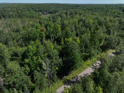Timberland Property for sale in Langlade County, Wisconsin