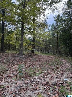 Farm Property for sale in Saint Clair County, Alabama