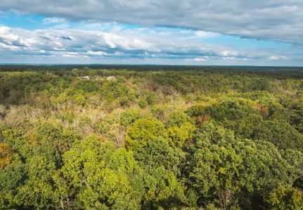 Timberland Property for sale in Phelps County, Missouri