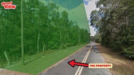 Undeveloped Land for sale in Levy County, Florida