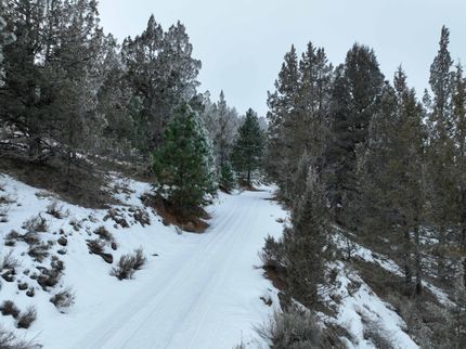 Undeveloped Land for sale in Harney County, Oregon