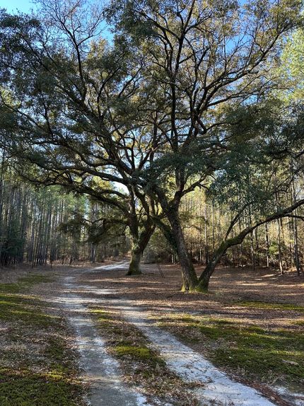 Farm Property for sale in Covington County, Alabama