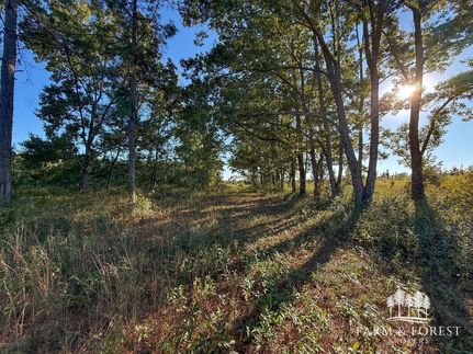 Farm Property for sale in Geneva County, Alabama