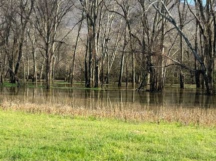 Riverfront Property for sale in Jackson County, Alabama