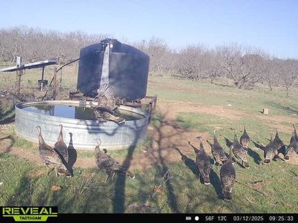 Farm Property for sale in Mills County, Texas