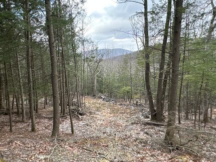 Ranch Property for sale in Schoharie County, New York