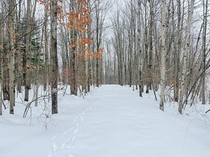 Recreational Property for sale in Erie County, Pennsylvania