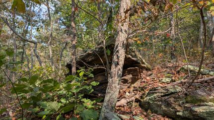 Hunting Land for sale in Jackson County, Ohio