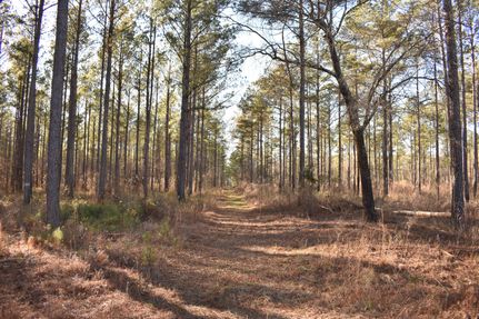 Undeveloped Land for sale in Early County, Georgia
