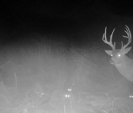 Farm Property for sale in Coffey County, Kansas