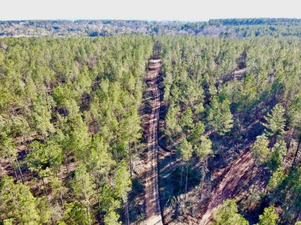 Recreational Property for sale in Jones County, Mississippi