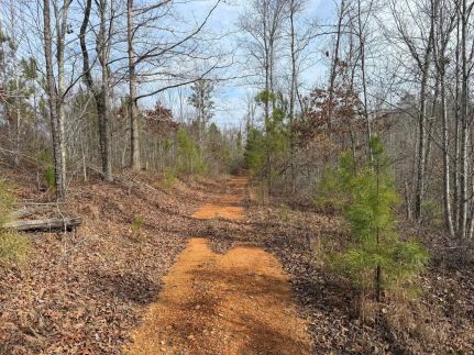 Ranch Property for sale in Clay County, Alabama