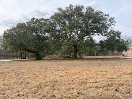 Undeveloped Land for sale in Mobile County, Alabama