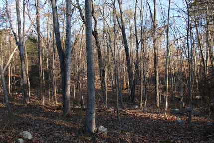 Undeveloped Land for sale in Page County, Virginia