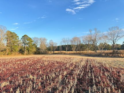 Property for sale in Florence County, South Carolina