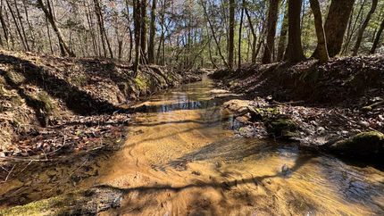 Undeveloped Land for sale in Conecuh County, Alabama