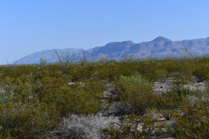 Property for sale in Presidio County, Texas