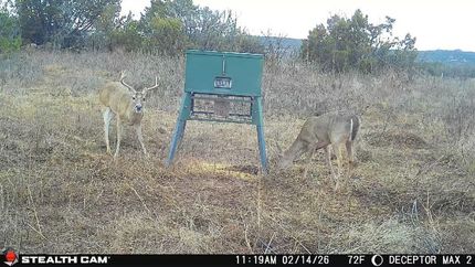 Undeveloped Land for sale in Taylor County, Texas