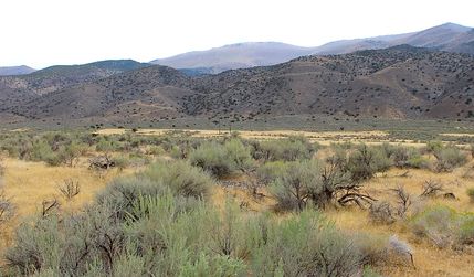 Farm Property for sale in Pershing County, Nevada