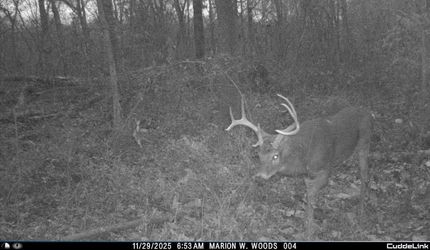 Recreational Property for sale in Marion County, Illinois