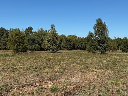 Undeveloped Land for sale in Bowie County, Texas