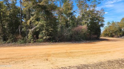 Undeveloped Land for sale in Jackson County, Florida